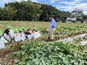 もえぎ組　芋掘り